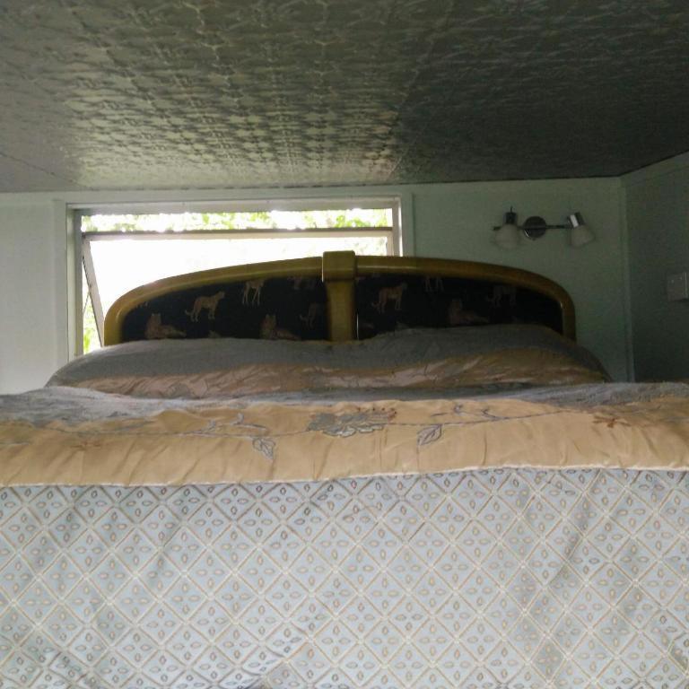 Starry Nights Cabin Fever Waikino Стая снимка