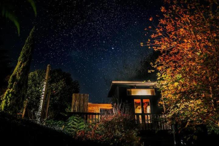 Starry Nights Cabin Fever Waikino Екстериор снимка