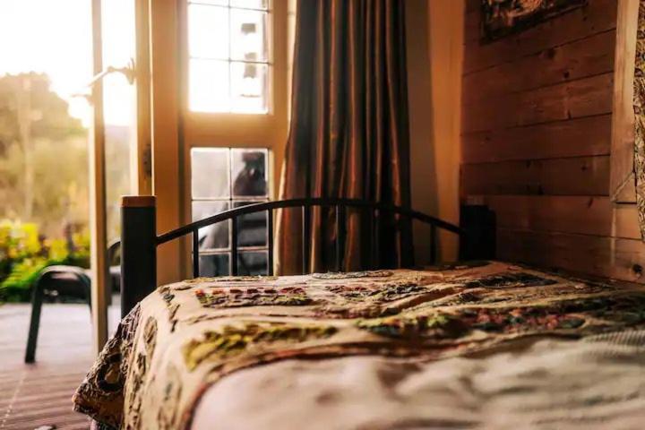 Starry Nights Cabin Fever Waikino Екстериор снимка