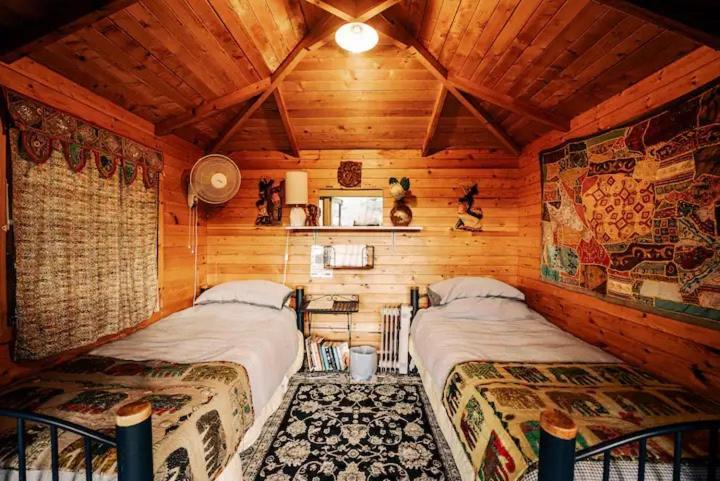 Starry Nights Cabin Fever Waikino Стая снимка